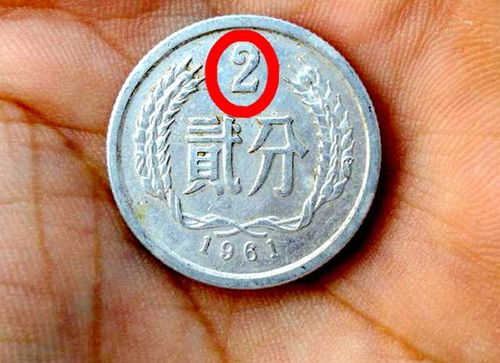 2024 年奇亚币价值几何？是照亮财富之路还是泡沫消散？