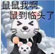 meme_meme软件_meme软件推荐