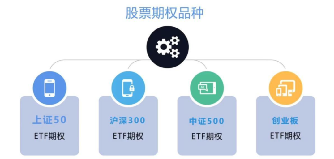 期权交易指南：从单日 192 倍涨幅到复杂规则，一文说清楚