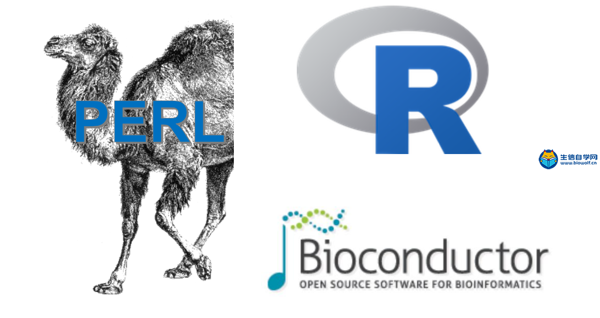 如何准备和安装Perl与R软件进行数据库挖掘及生物学数据处理
