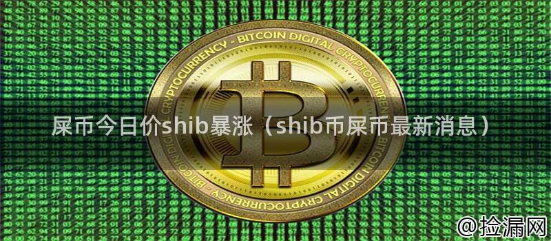 屎币SHIB价格暴涨1700%：市场表现、团队背景及未来发展深度解析